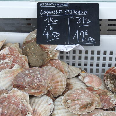 Viskraam in Saint Valéry sur Somme