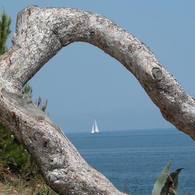 Cap Ferrat - wandelen in de buurt van Paloma Beach