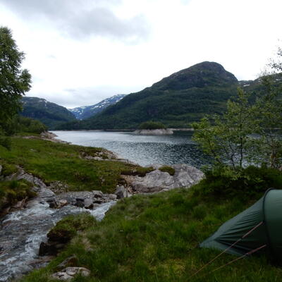 Wildkamperen in Noorwegen, zalig!