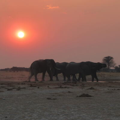 Kalahari Nxai Pan by night