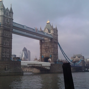 The Towerbridge in Londen