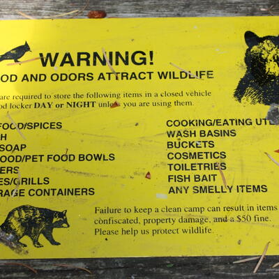 Bear Warning!