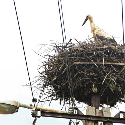 hoog en droog (fietsen in Zuidpolen)