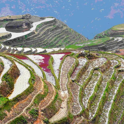 China, Long Shen, rijstterassen