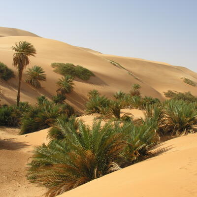 Sahara - op weg naar de Mandara meren