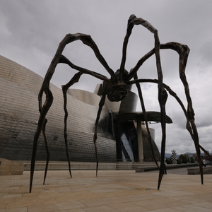 Mama, de monumentale spin bij het Guggenheim