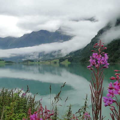 Noorwegen - Magische ochtend in Gytri