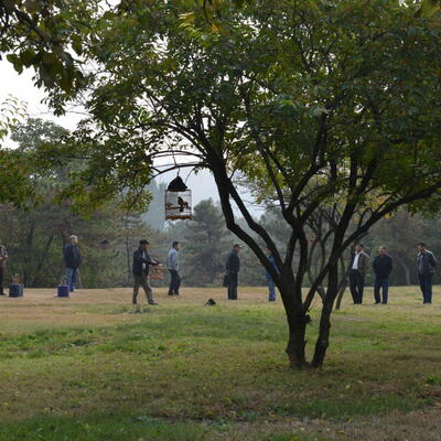 Vogeltjes ontmoeten elkaar in een kooitje in het park (winterpaleis Chengde) 