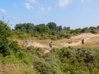 Wandelaars in de duinen
