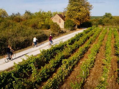 Vallée du Loir met de fiets