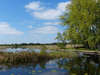 Water en Bomen