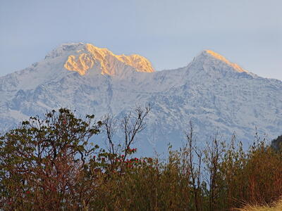 Nepal