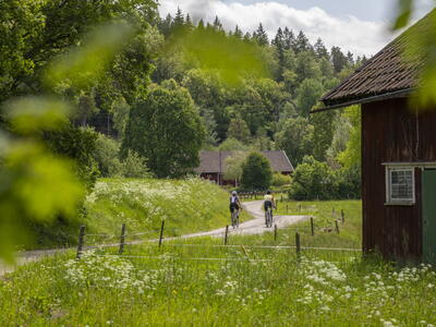 Fietsers op de nieuwe fietsroute van 170 km tussen Göteborg en Falköping